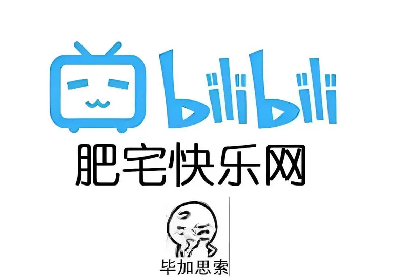 哔哩哔哩 内置漫游模块版！