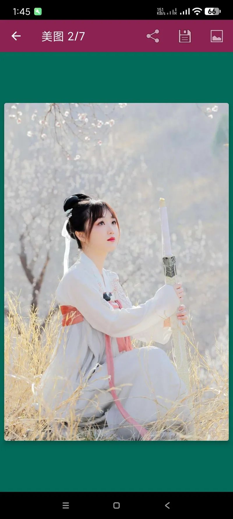 美女图集大全无广绿化版