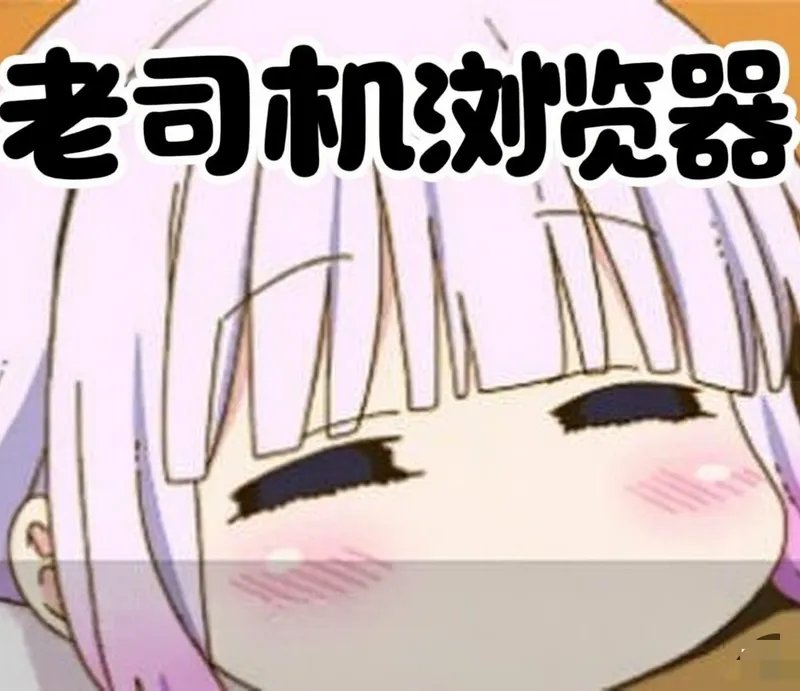 小米浏览器国际版（老司机必备）